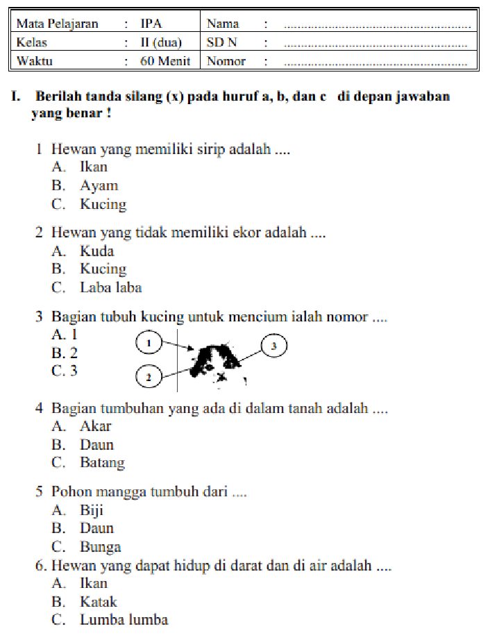 7 Contoh Soal HOTS PAS Kelas 2 SD Semester 1 yang Wajib Dikuasai Siswa di Tahun 2026